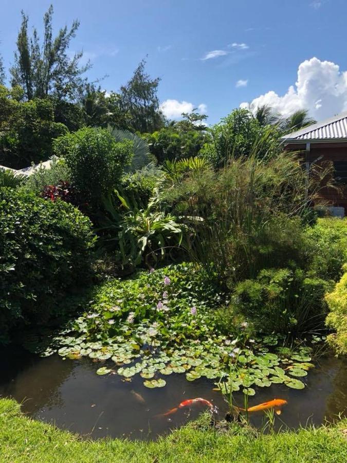 Shambala Lodge Le Moule Ngoại thất bức ảnh